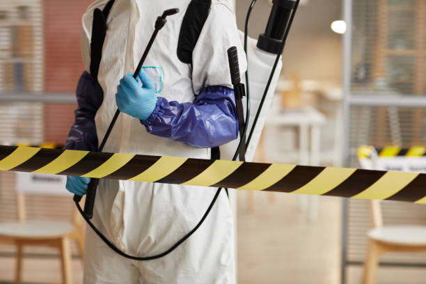 Professional Odor Removal technician working in Bass Lake, IN